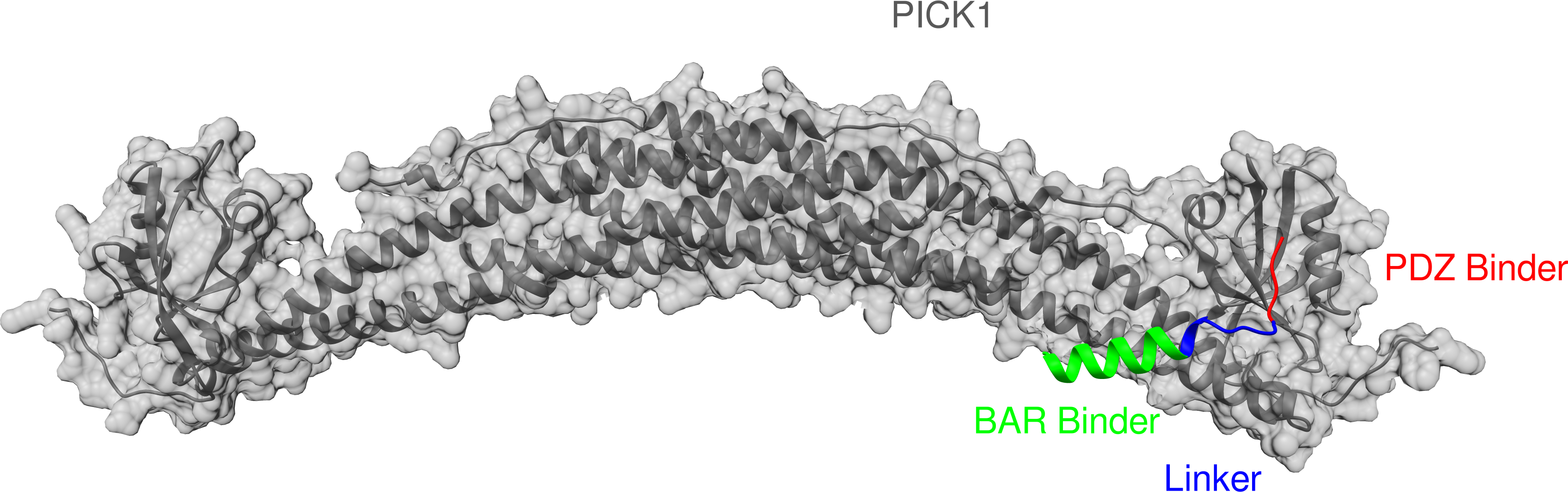pick1_pdz_bar_linker.png